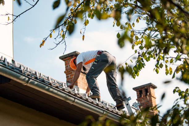 Best Storm Damage Roof Repair  in Tonto Basin, AZ